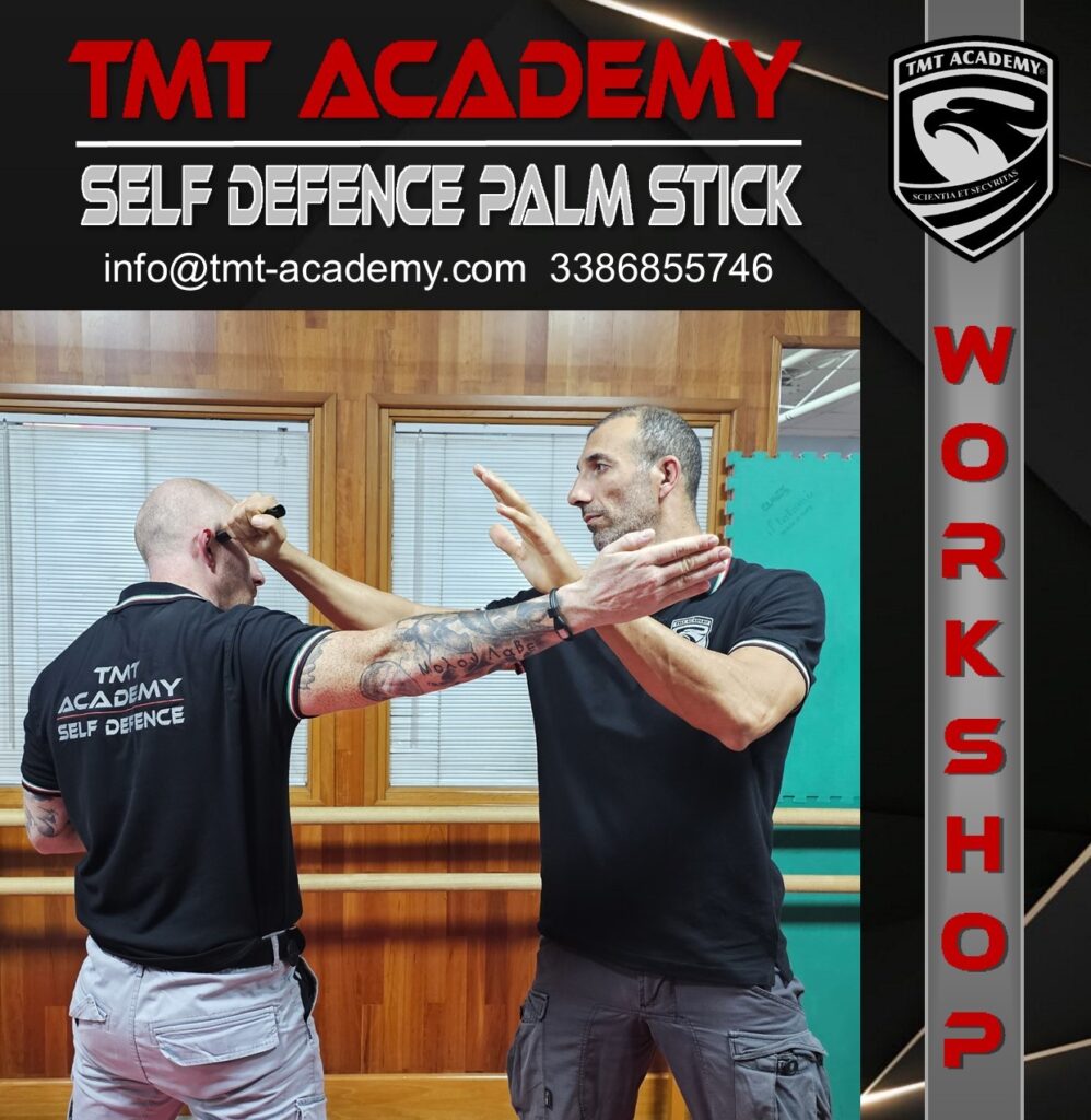 TMT Academy | SELF DEFENCE PALM STICK